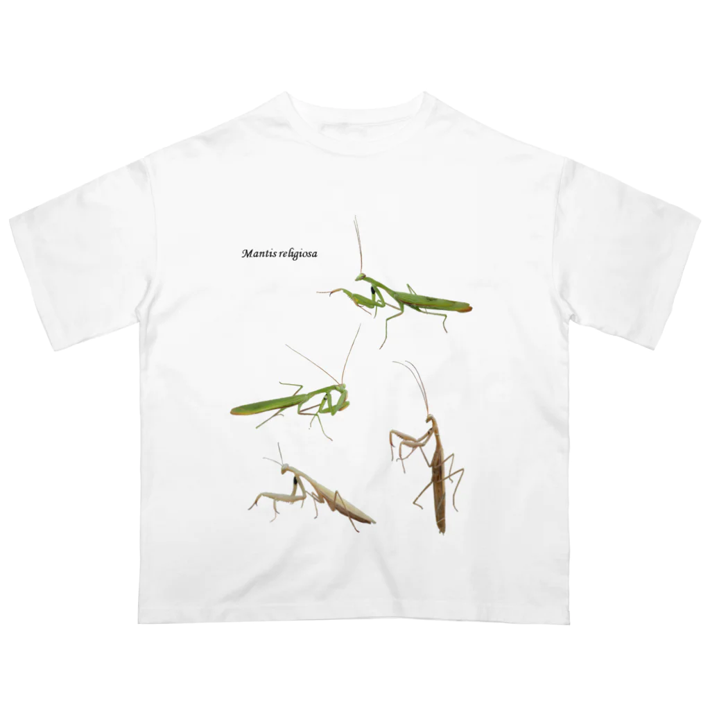 L_arctoaのウスバカマキリ（背景透過ver） オーバーサイズTシャツ