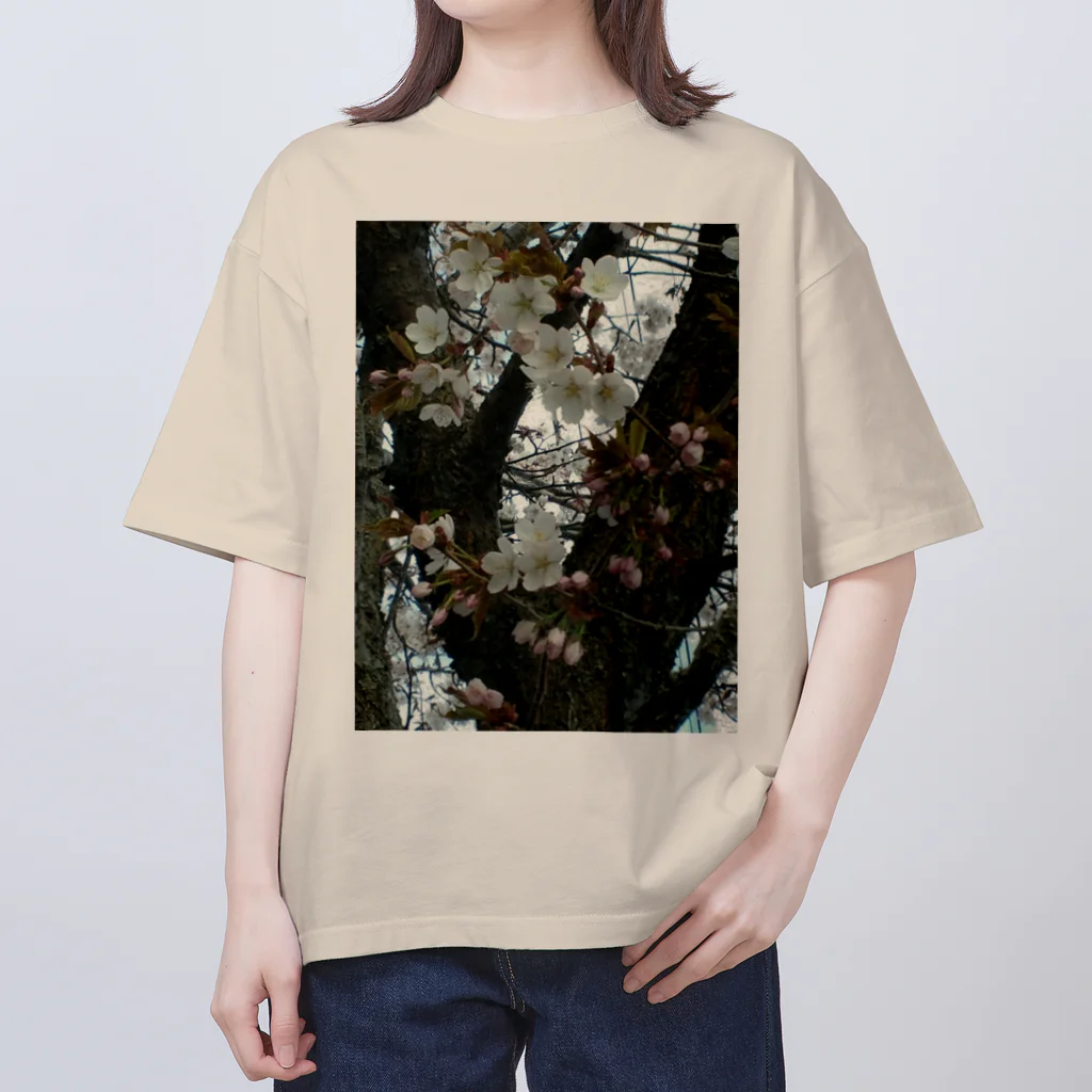 空屋　sorayakusakaの201605121700000　曇り日の桜 オーバーサイズTシャツ