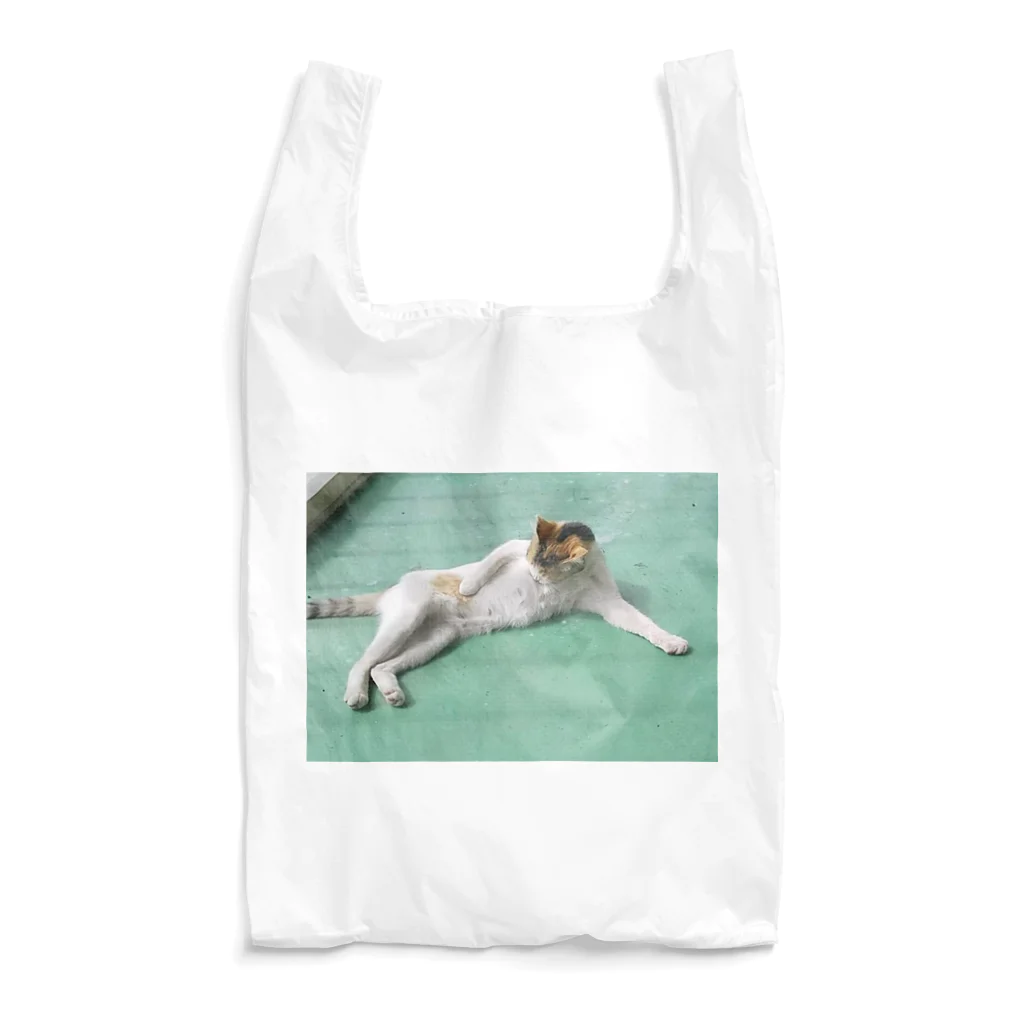 DancingStoneShopの野良猫たまりん Reusable Bag