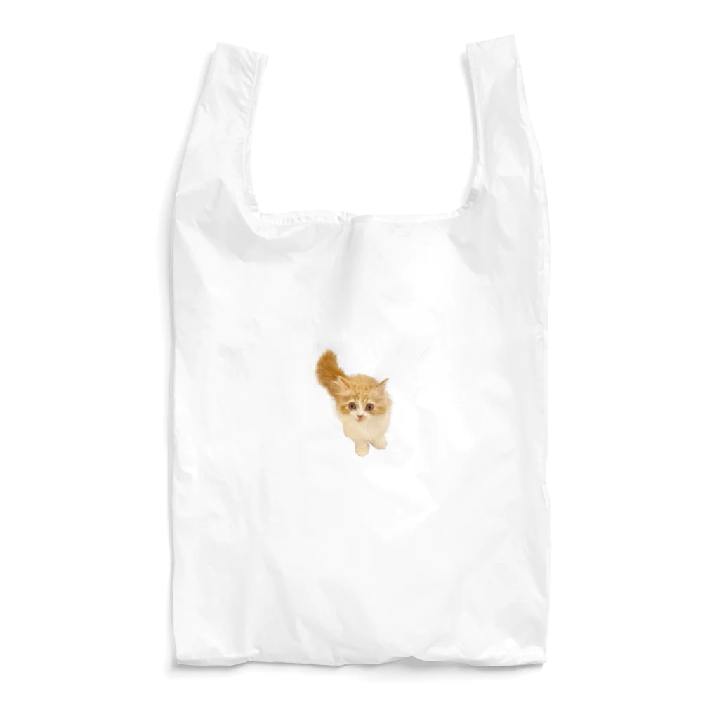 recy_coのこっちをみるねこ Reusable Bag