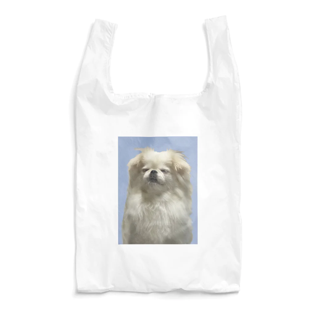 256のpepo Reusable Bag