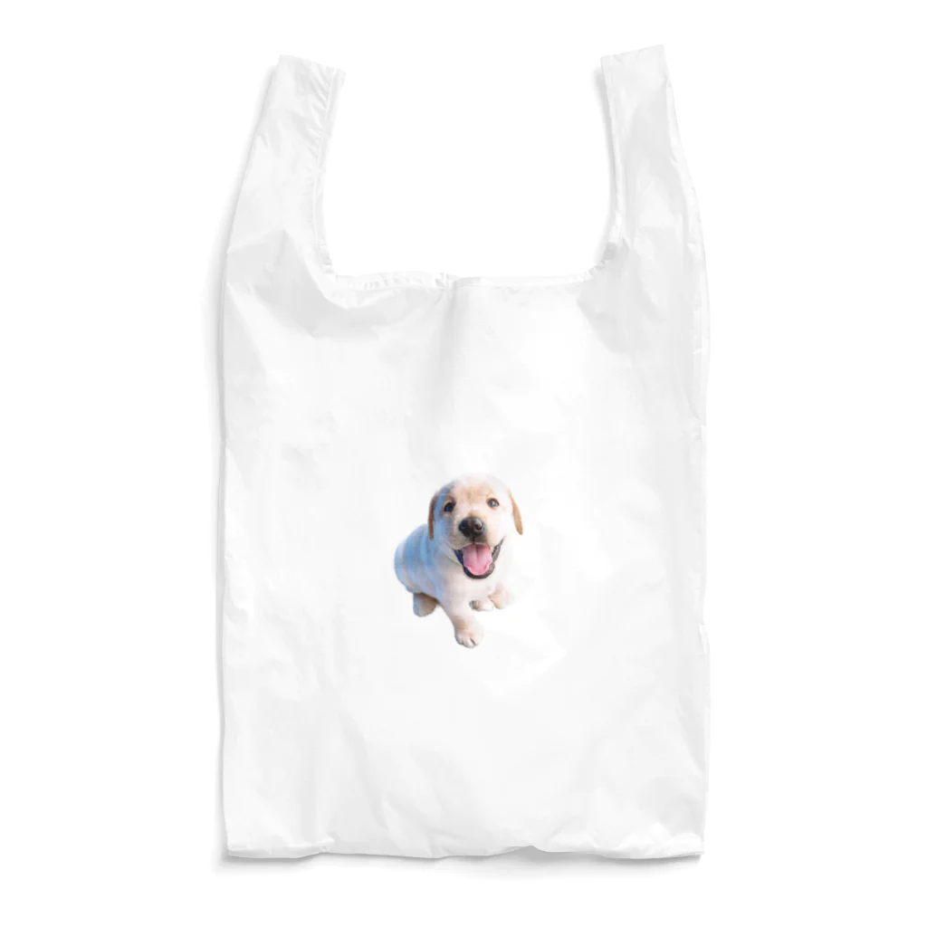 ラブラボのニパーーッT Reusable Bag