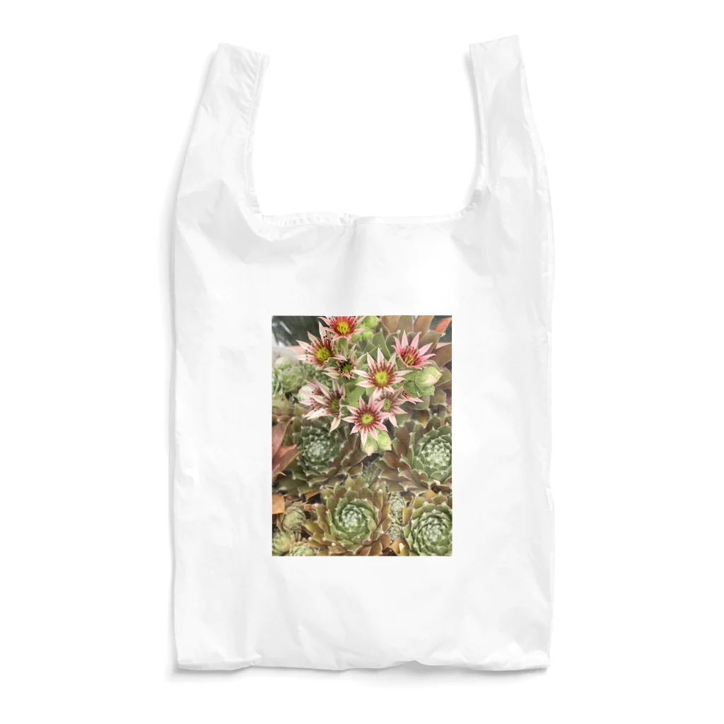 シアン猫の植物図鑑のセンペルビュームのお花 Reusable Bag