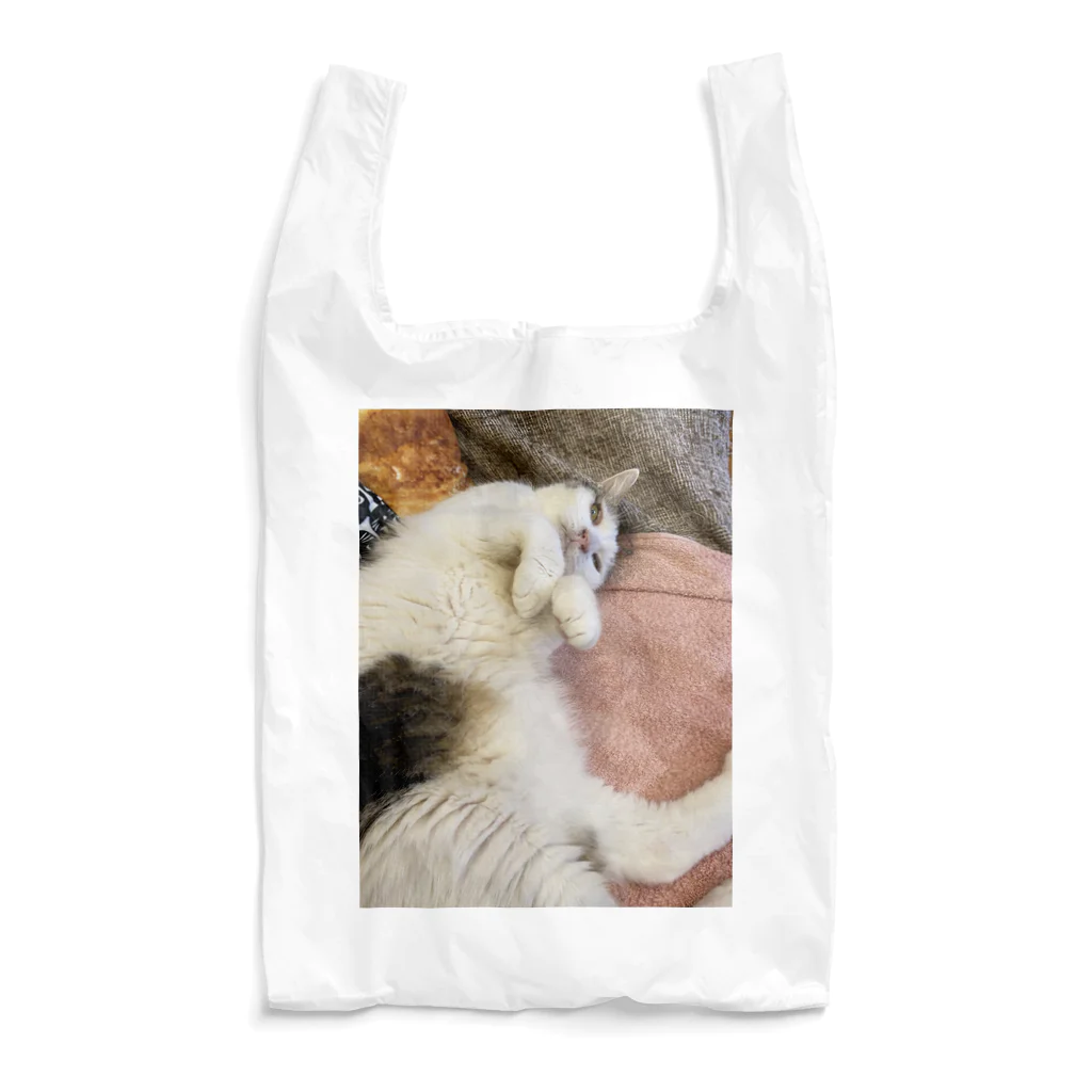 猫山サン家の慎之助 Reusable Bag