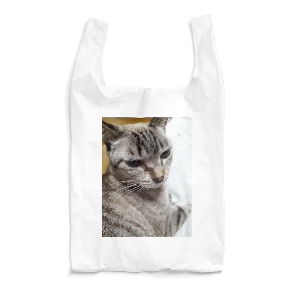 ねこの森でお散歩のさあ、モフりなさいよ。 Reusable Bag