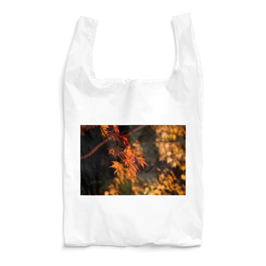 nokkccaのライトアップ紅葉 - Japanese maple(night shot) - Reusable Bag