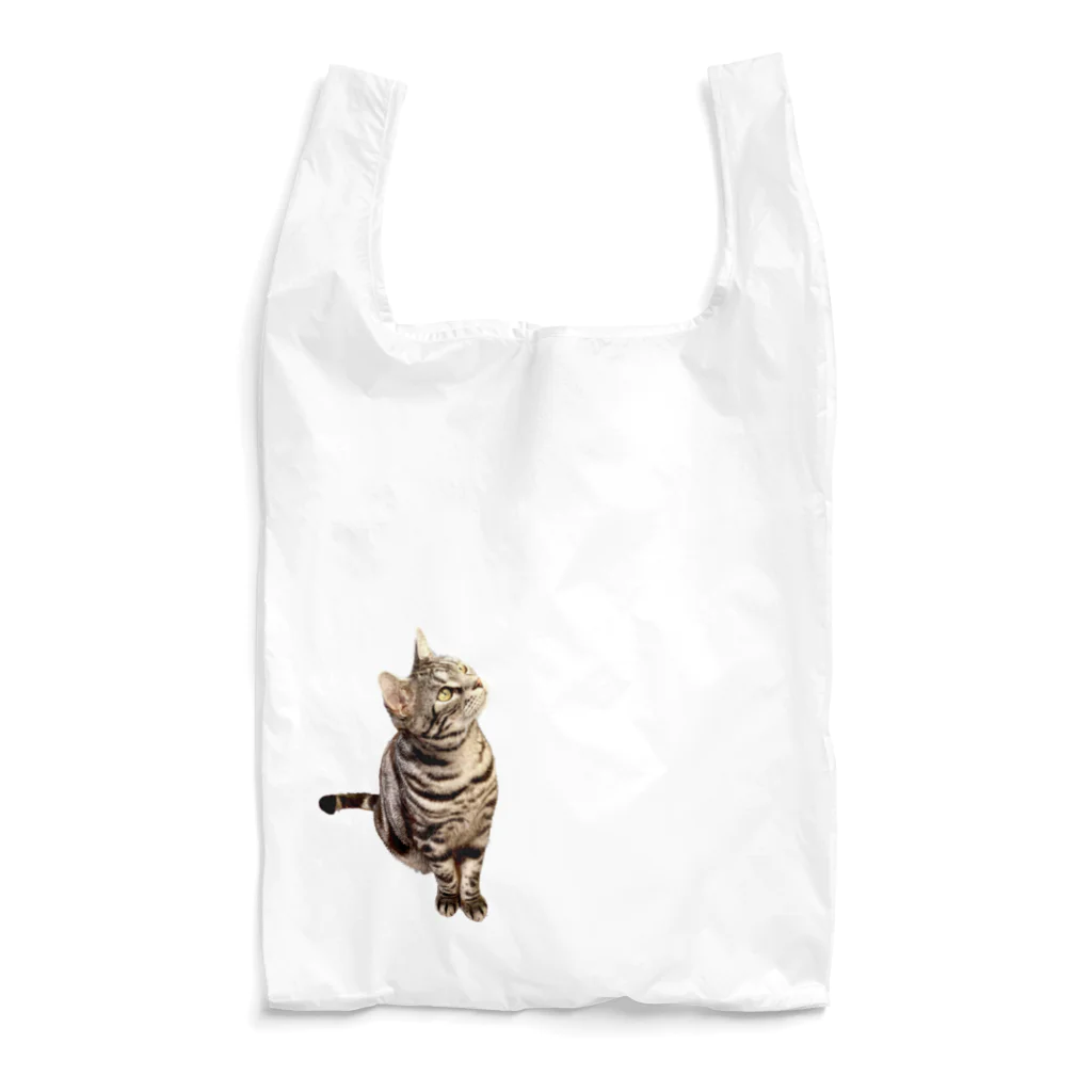 American Shorthair’s shopのアメショのあずき Reusable Bag