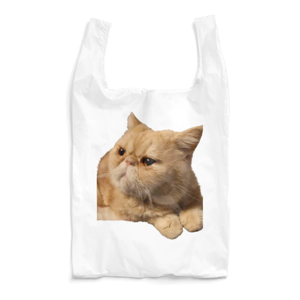 旬&福&光のおやじ猫 Reusable Bag