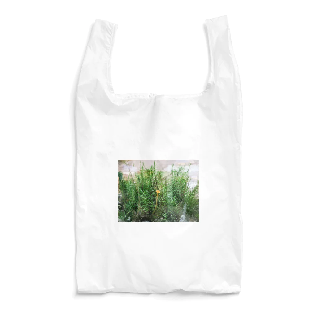 アトリエWindwingのキノコと苔テラリウム Reusable Bag