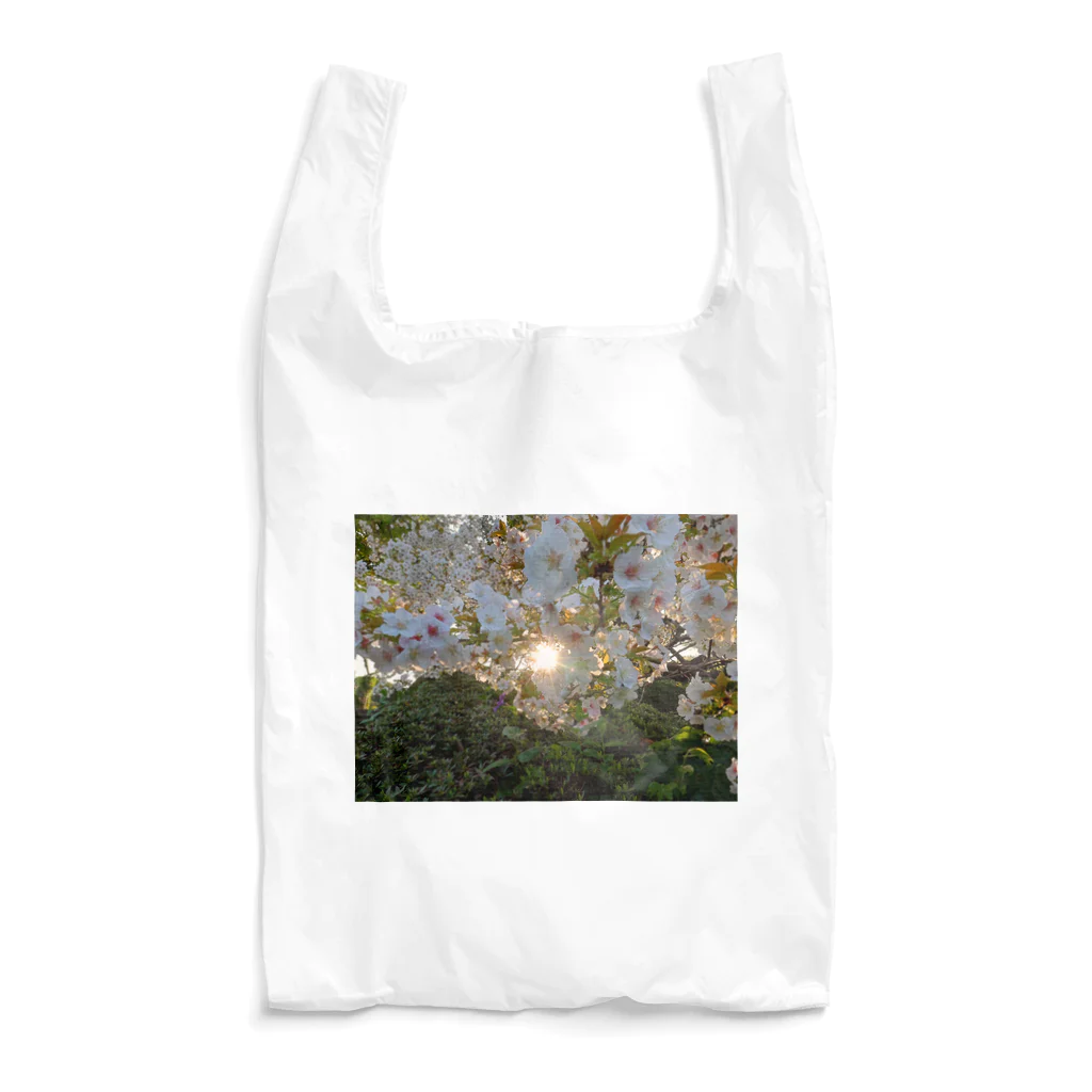 nokkccaの桜満開 - Backlit Sakura - Reusable Bag