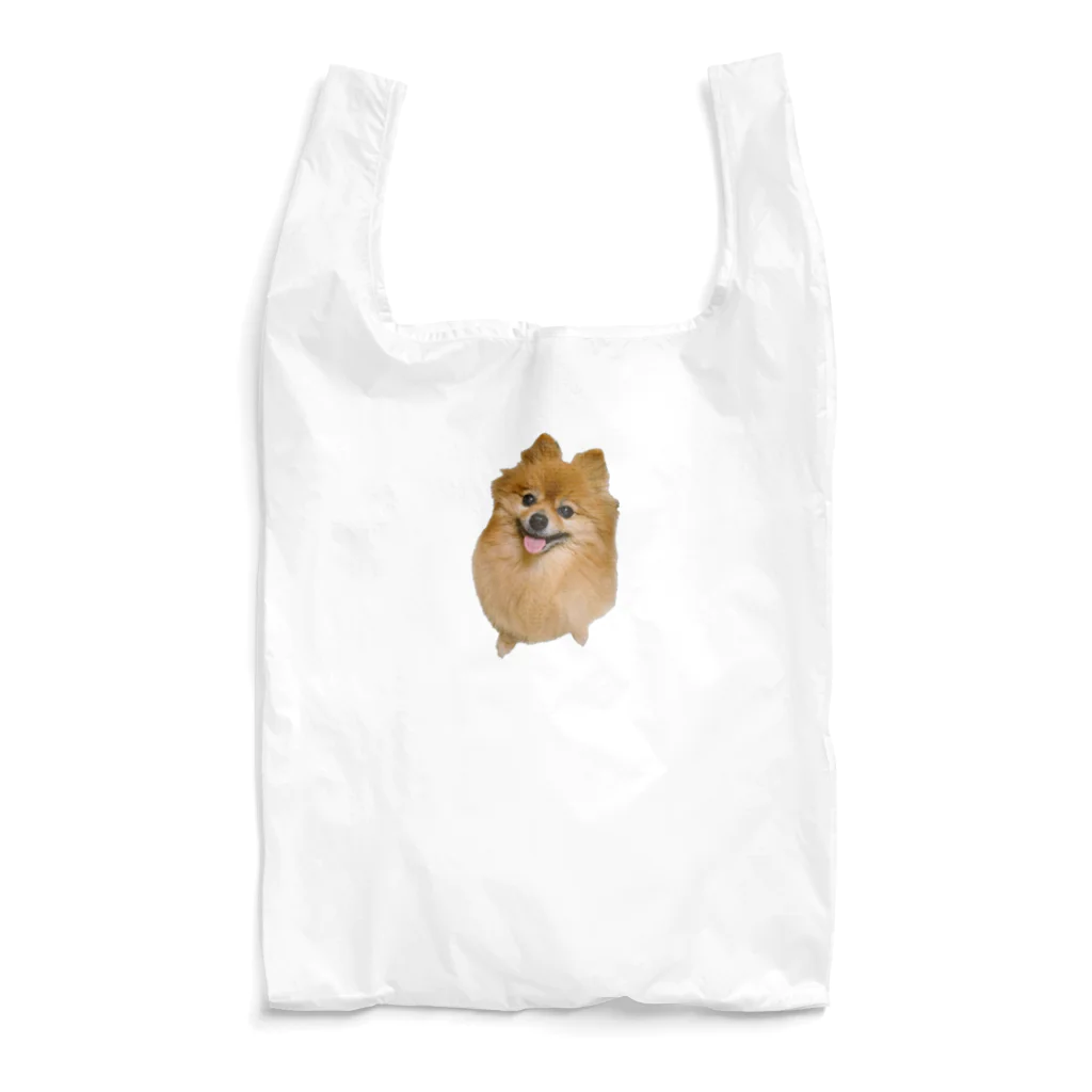 asakikasaのぽんぽこ Reusable Bag