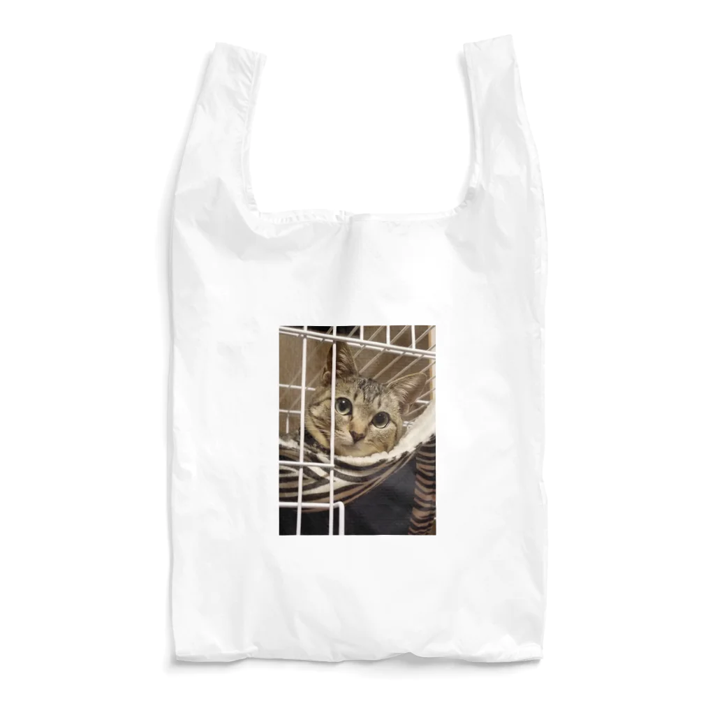 猫又雑貨店のあざネコさん Reusable Bag