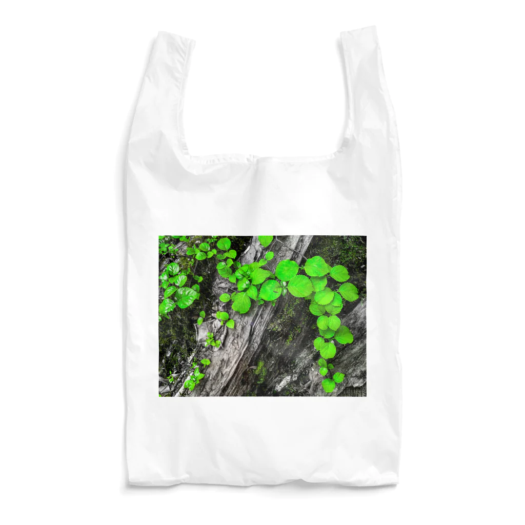 suparnaの探究 Reusable Bag