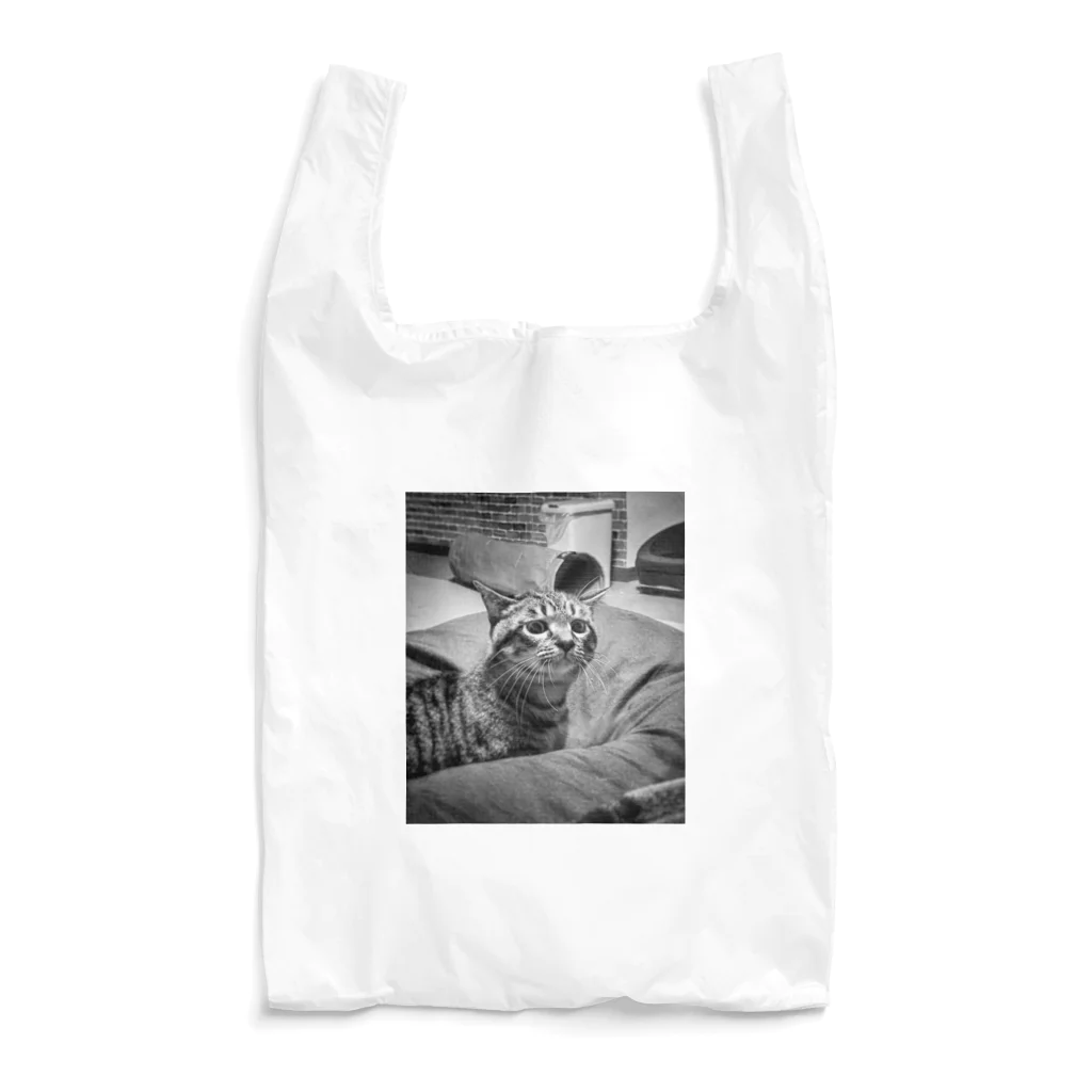 hi0922beのwhat happened? Reusable Bag