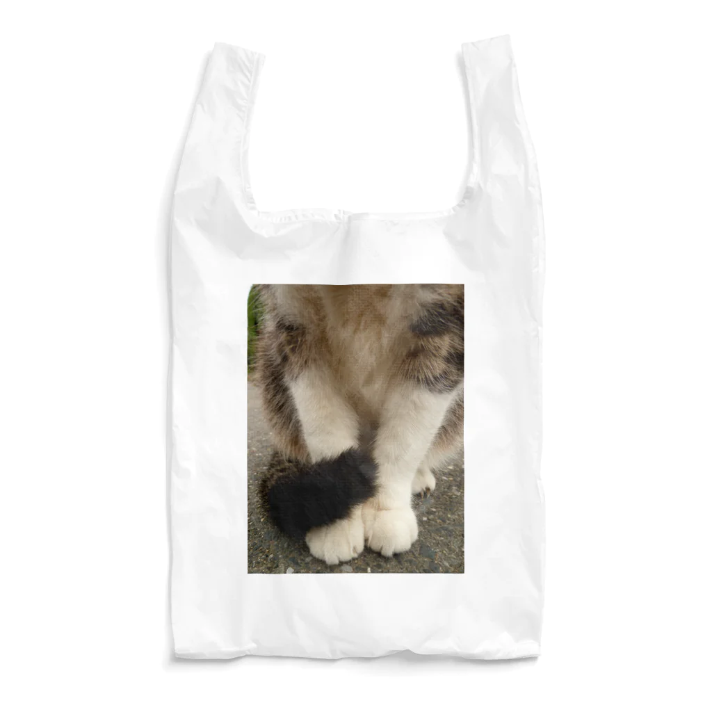 僕の撮る猫は可愛くないのNora Reusable Bag