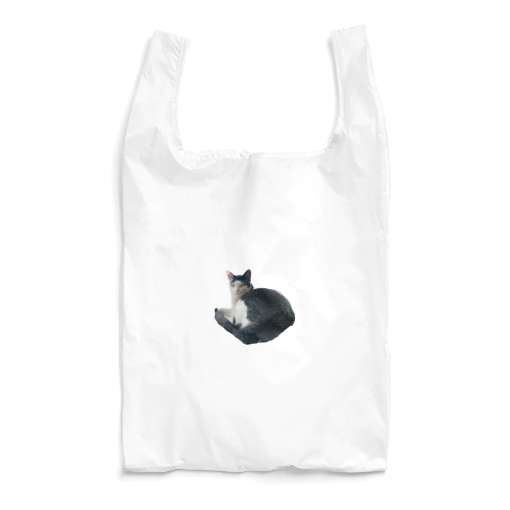 QDAのDAIZU Reusable Bag