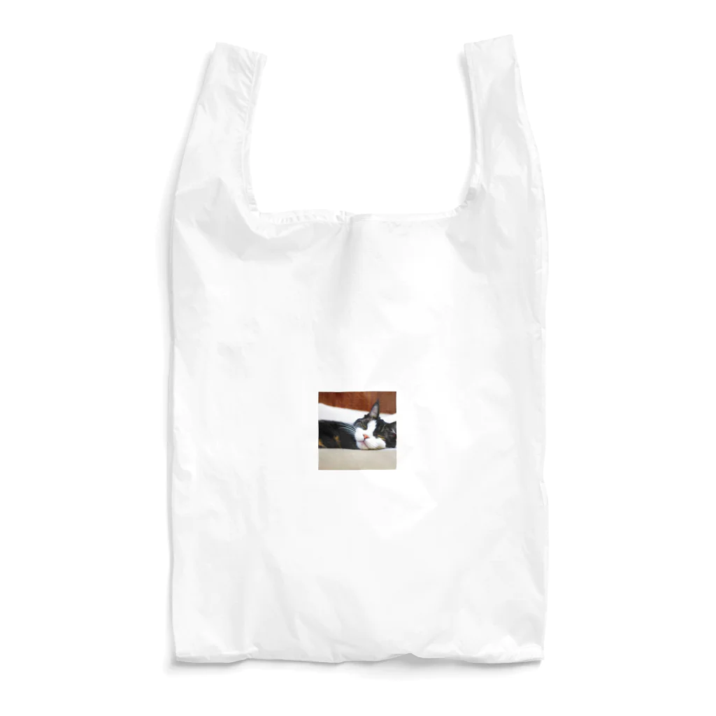 ニャーニャーニャーの寝たネコ Reusable Bag