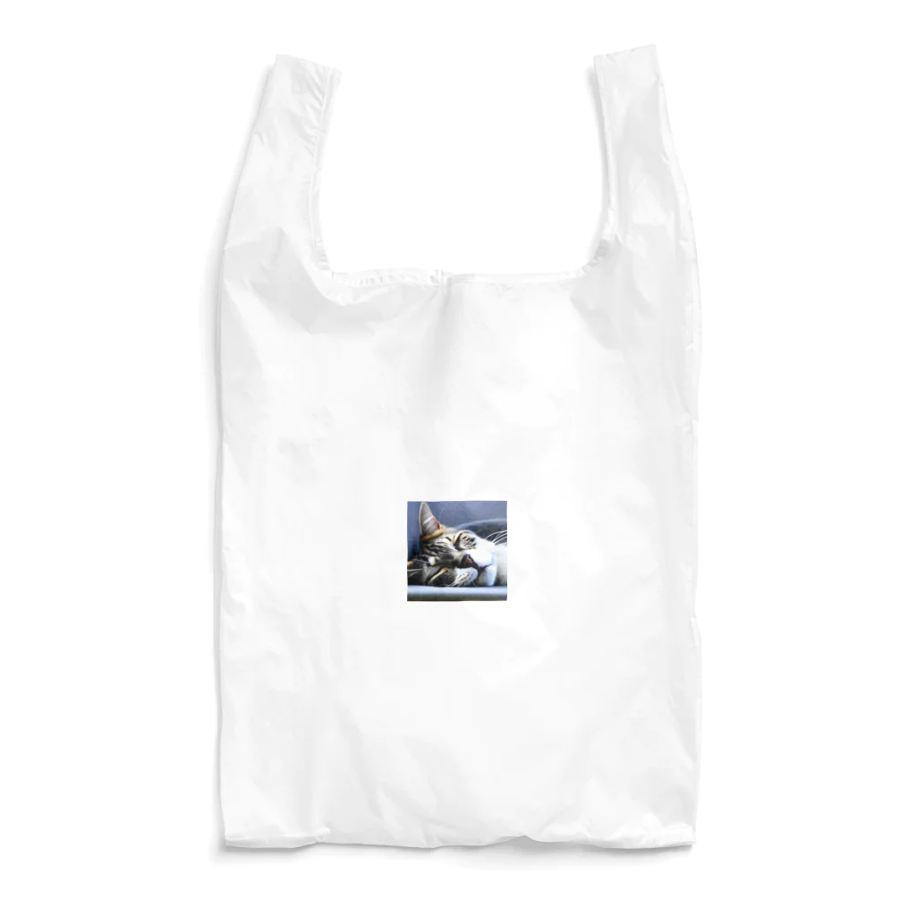 HYUGOの寝顔ドアップのキュートな猫 Reusable Bag