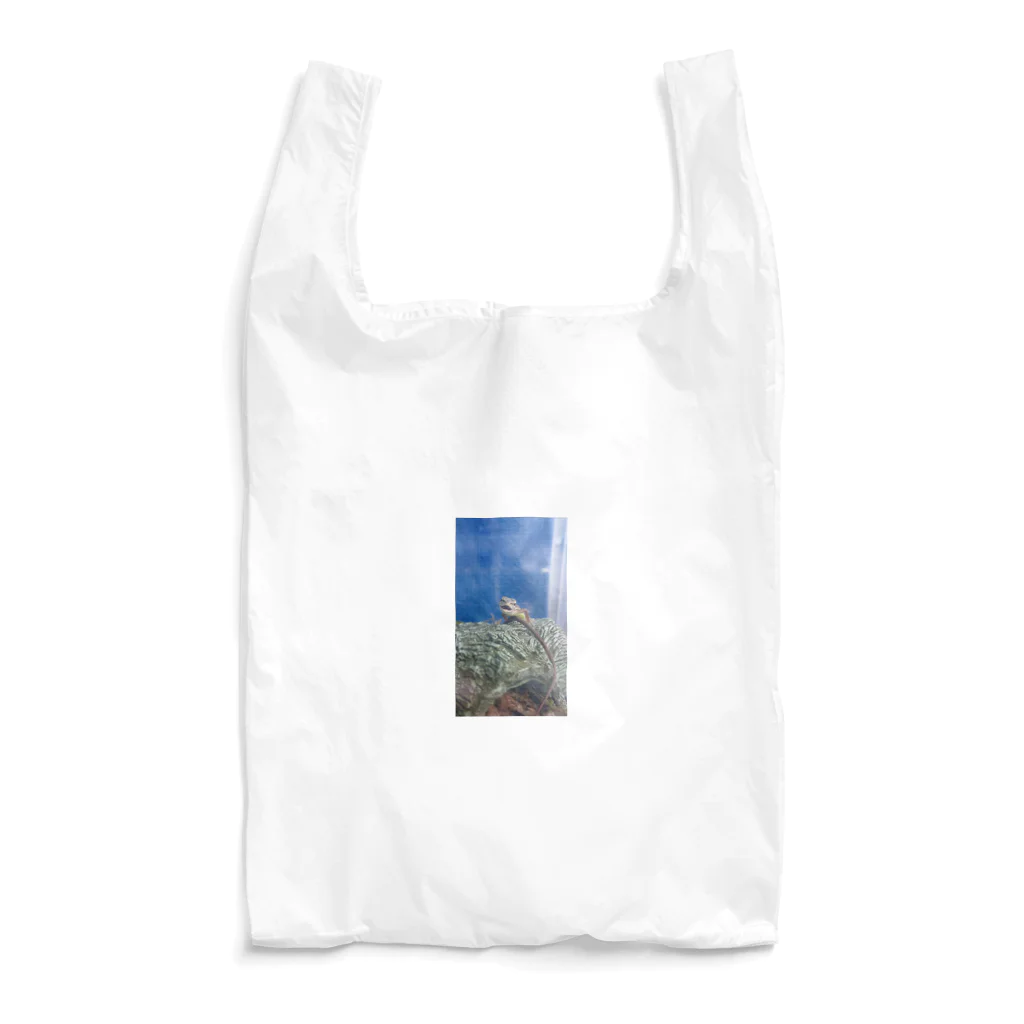 Makoto_Kawano Designの笑うトカゲ Reusable Bag