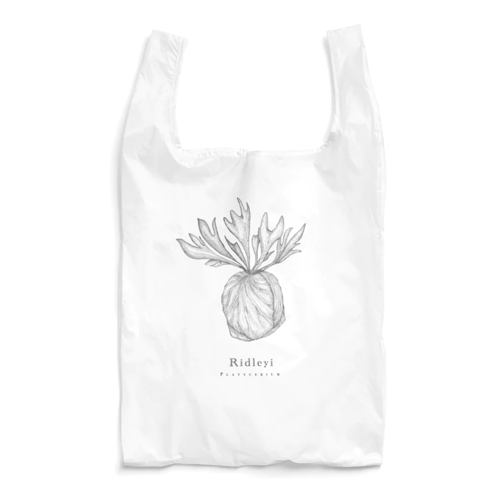 www.HYPE OUTのビカクシダ - リドレイ 植物 Reusable Bag