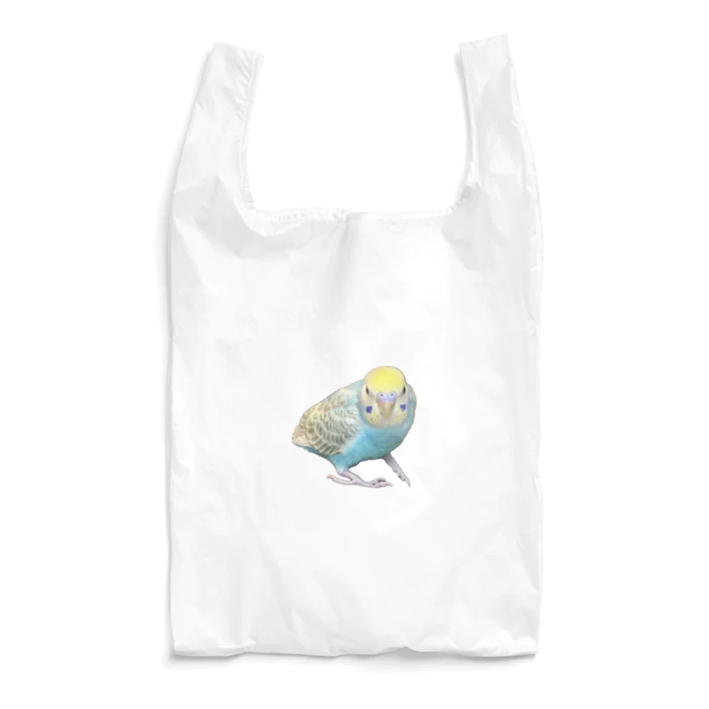 garapagos インコイングッズの癒しインコ Reusable Bag