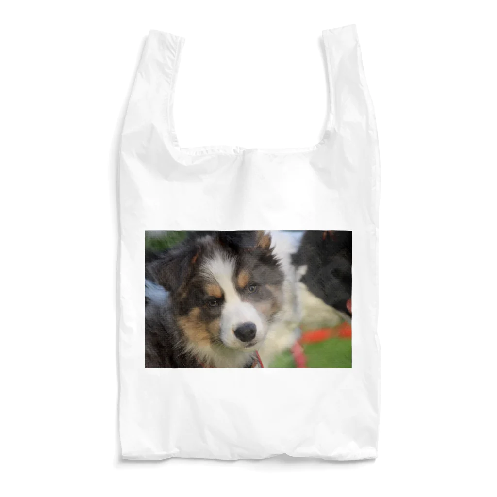 🌼🦊ボーダーコリーおぼまな屋🦝🍋のﾎﾞｰﾀﾞｰｺﾘｰ真永くん子犬時代 Reusable Bag