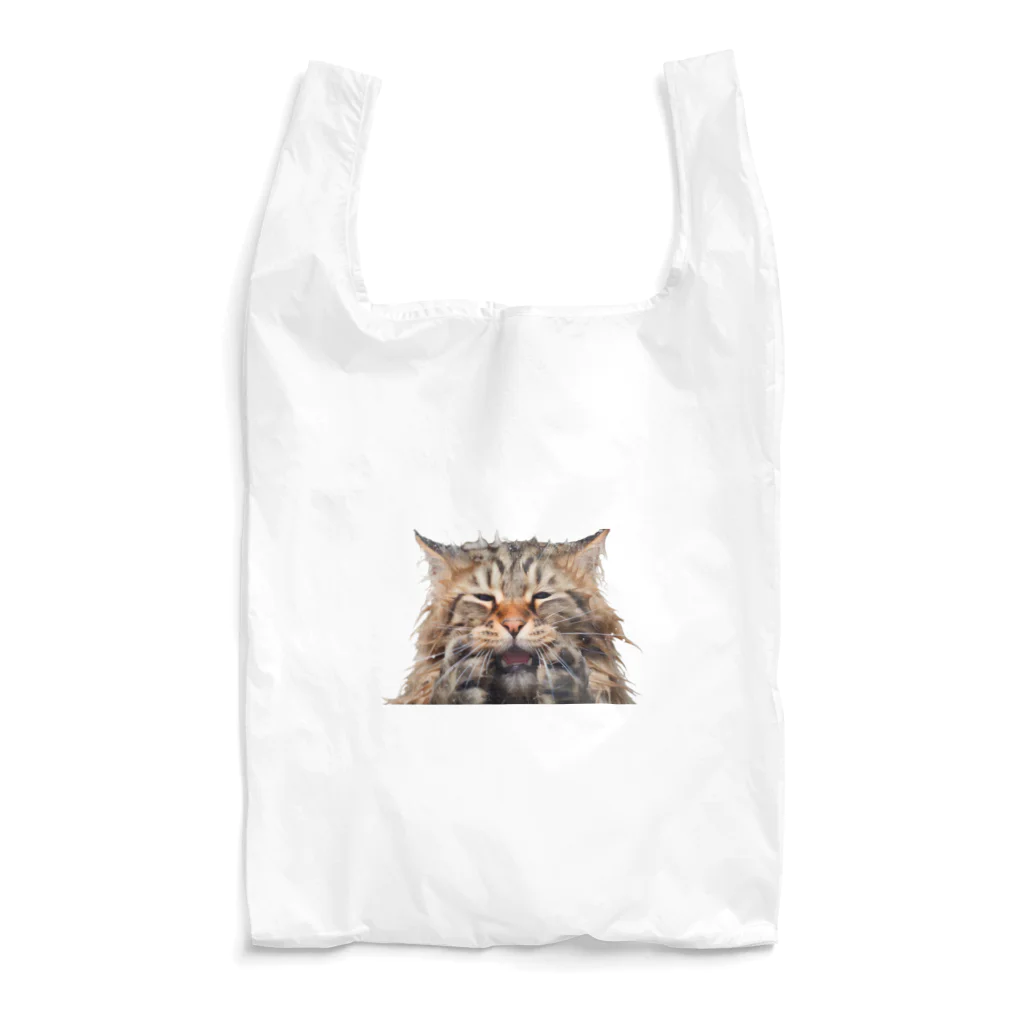 日向ぼっこのずぶ濡れ猫 Reusable Bag