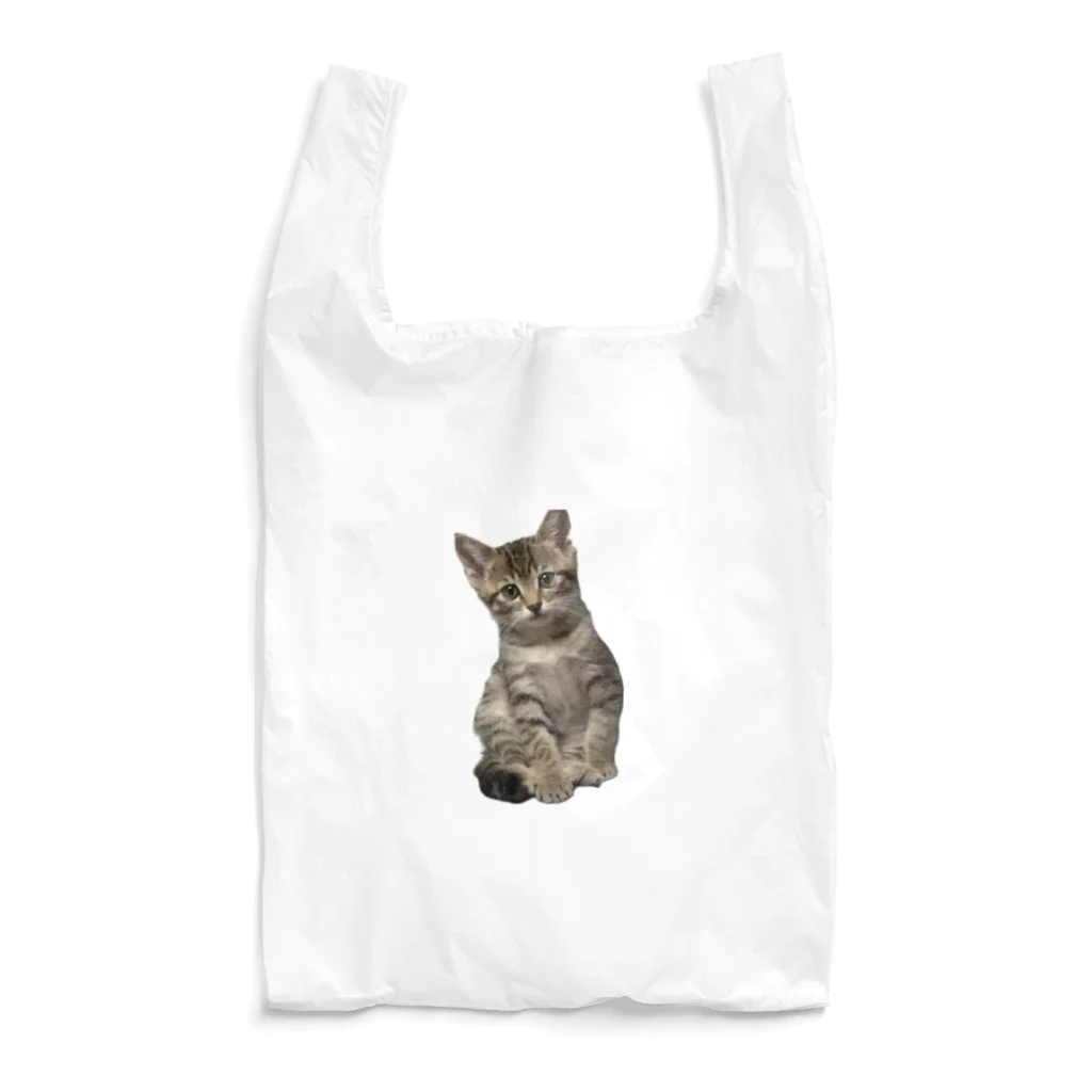 HANAKAKAの仔猫時代 Reusable Bag