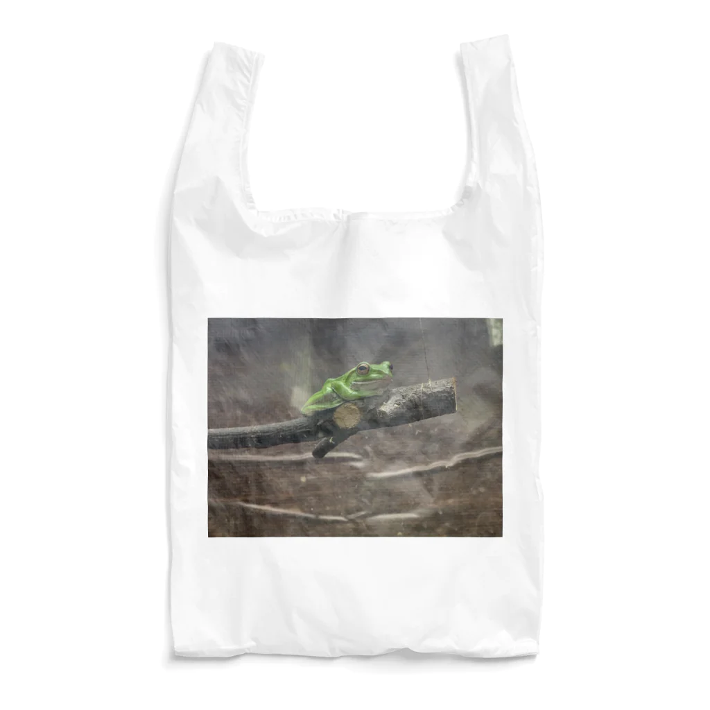 mochika21の蛙 Reusable Bag