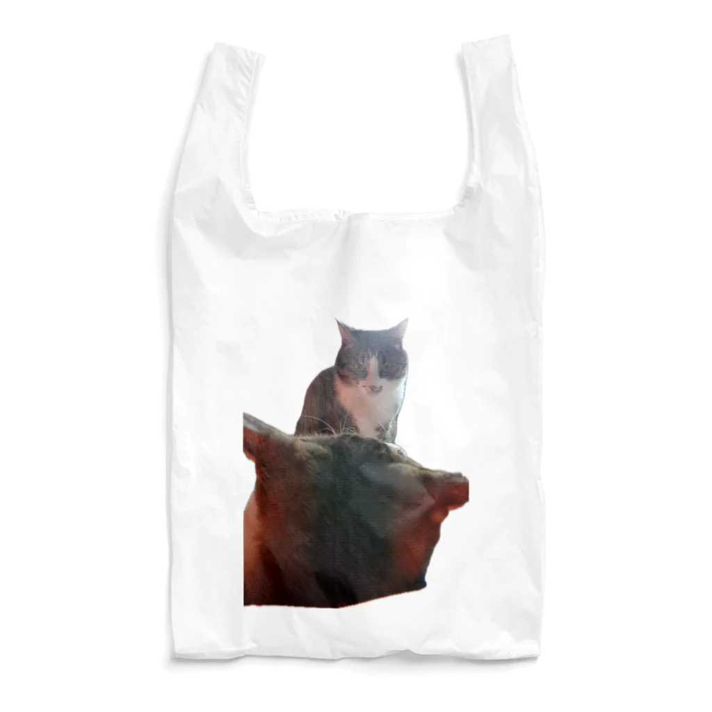 mikanseizin86の猫ミーム風睨みネコ Reusable Bag