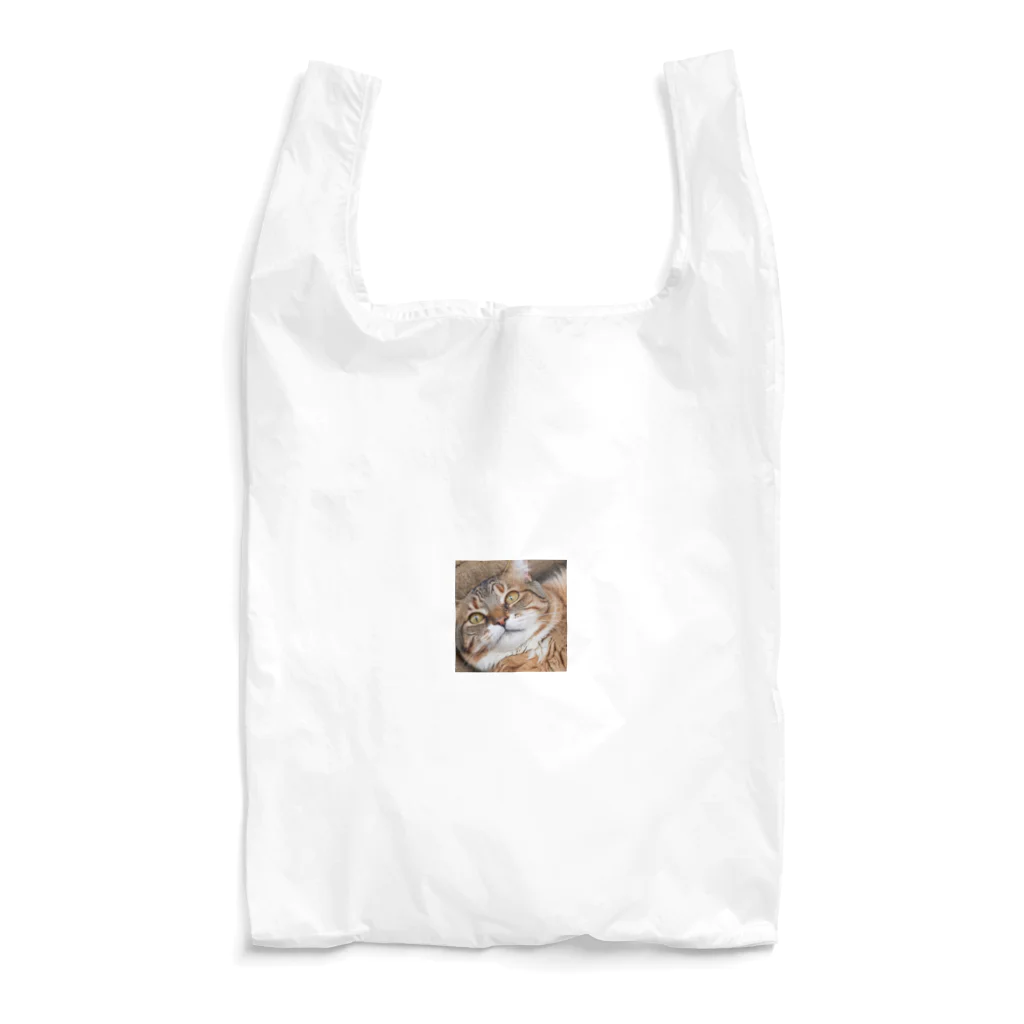 おさけふざけ＠アル中戦隊の強面にゃんこ！ Reusable Bag