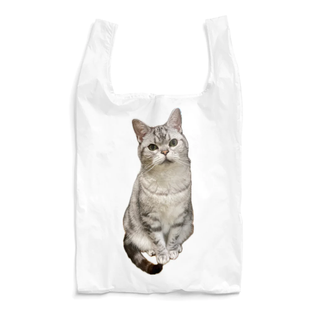 うちの猫ちゃんたちの数少ない美男子とらと Reusable Bag