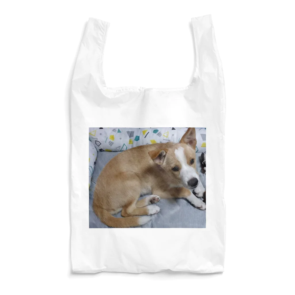 幸せいっぱいちびちゃんの我が家の可愛いちびちゃん Reusable Bag