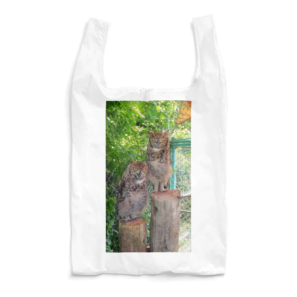 𓅓梟𓅓のワシミミズク Reusable Bag