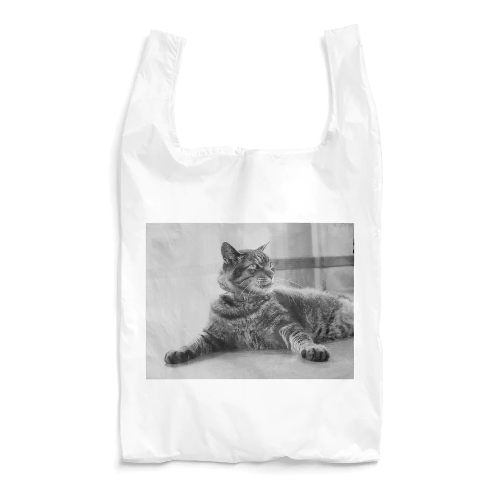 Cafe_antibesのドラちゃん Reusable Bag