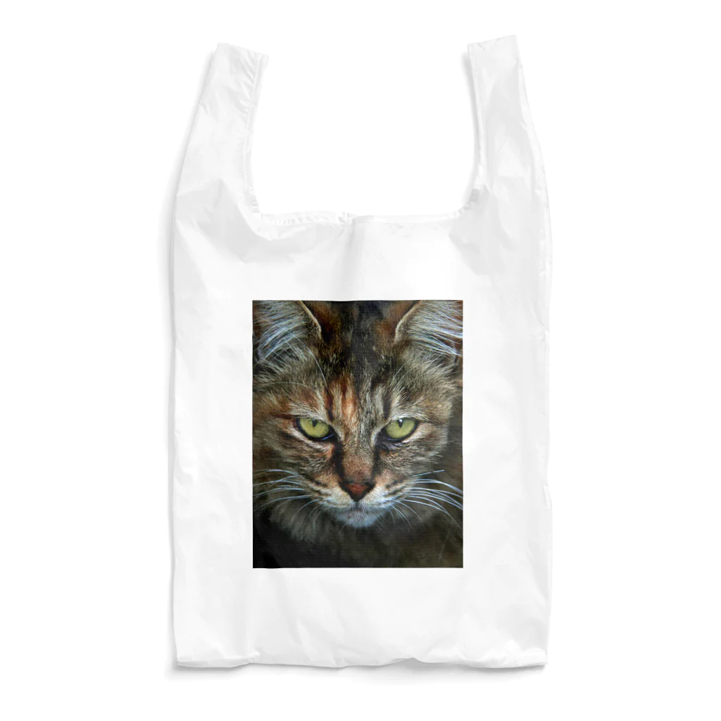 308GTBooのCAT Reusable Bag