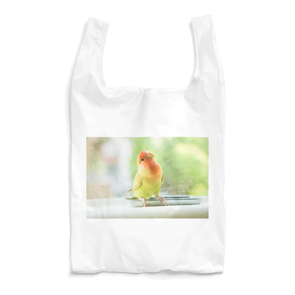 Mameのおとぼけインコ Reusable Bag