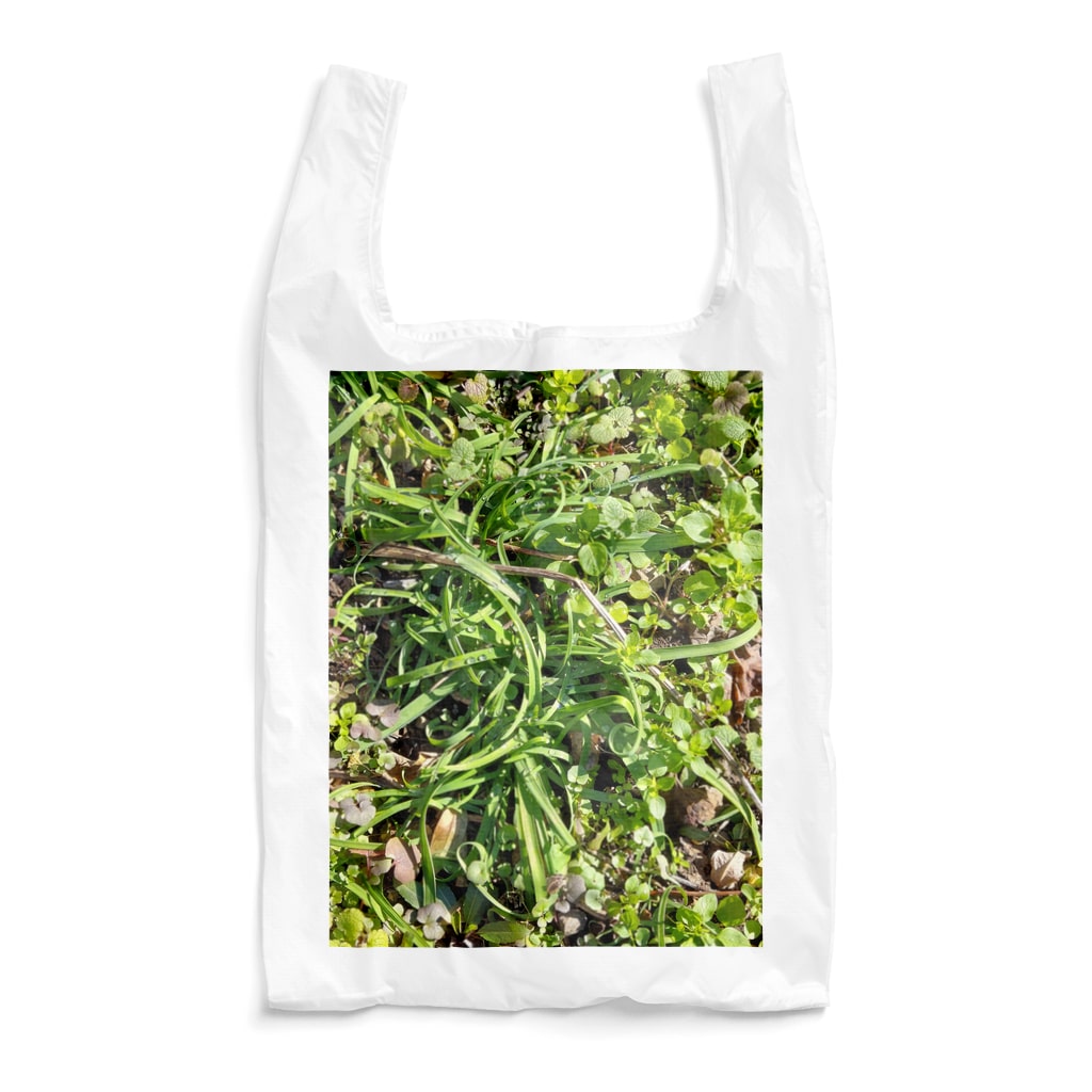 CHOTTOPOINTの【セール期間限定】 Reusable Bag