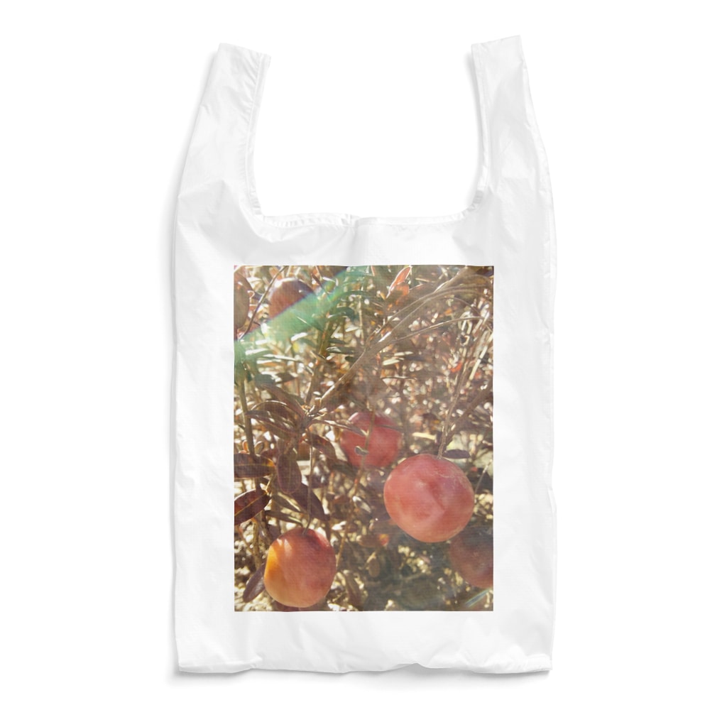 CHOTTOPOINTの【セール期間限定】 Reusable Bag
