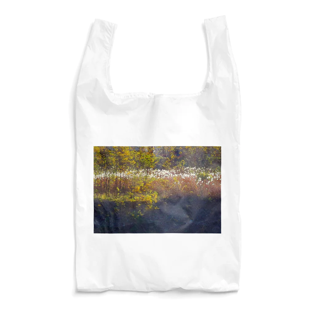 CHOTTOPOINTの【セール期間限定】 Reusable Bag