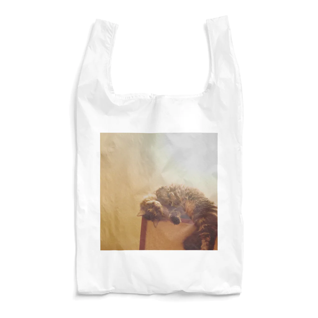 𝔻𝕒𝕪𝕕𝕣𝕖𝕒𝕞のみてます Reusable Bag