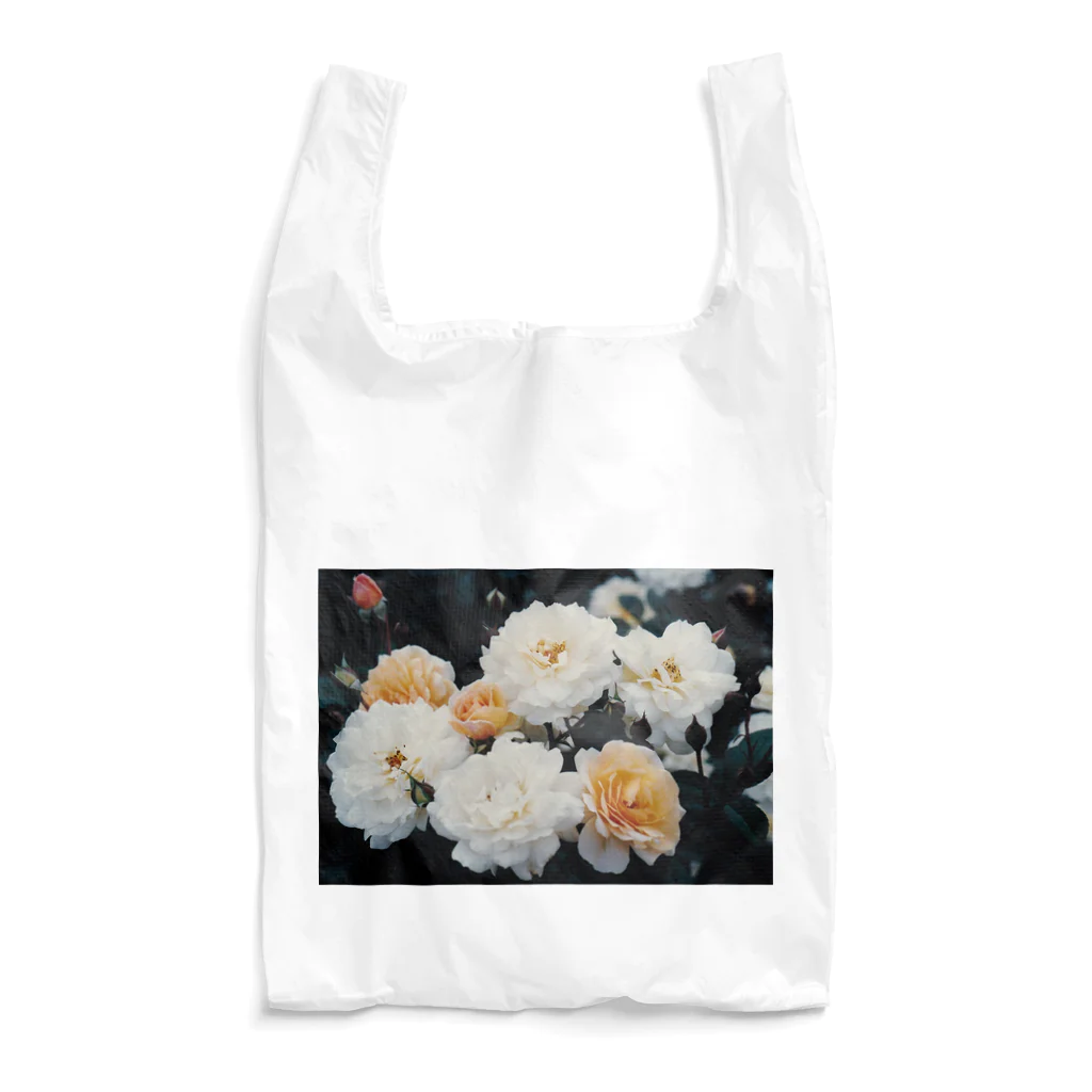 Dreamscape(LUNA)の優しさに溢れての色合い Reusable Bag