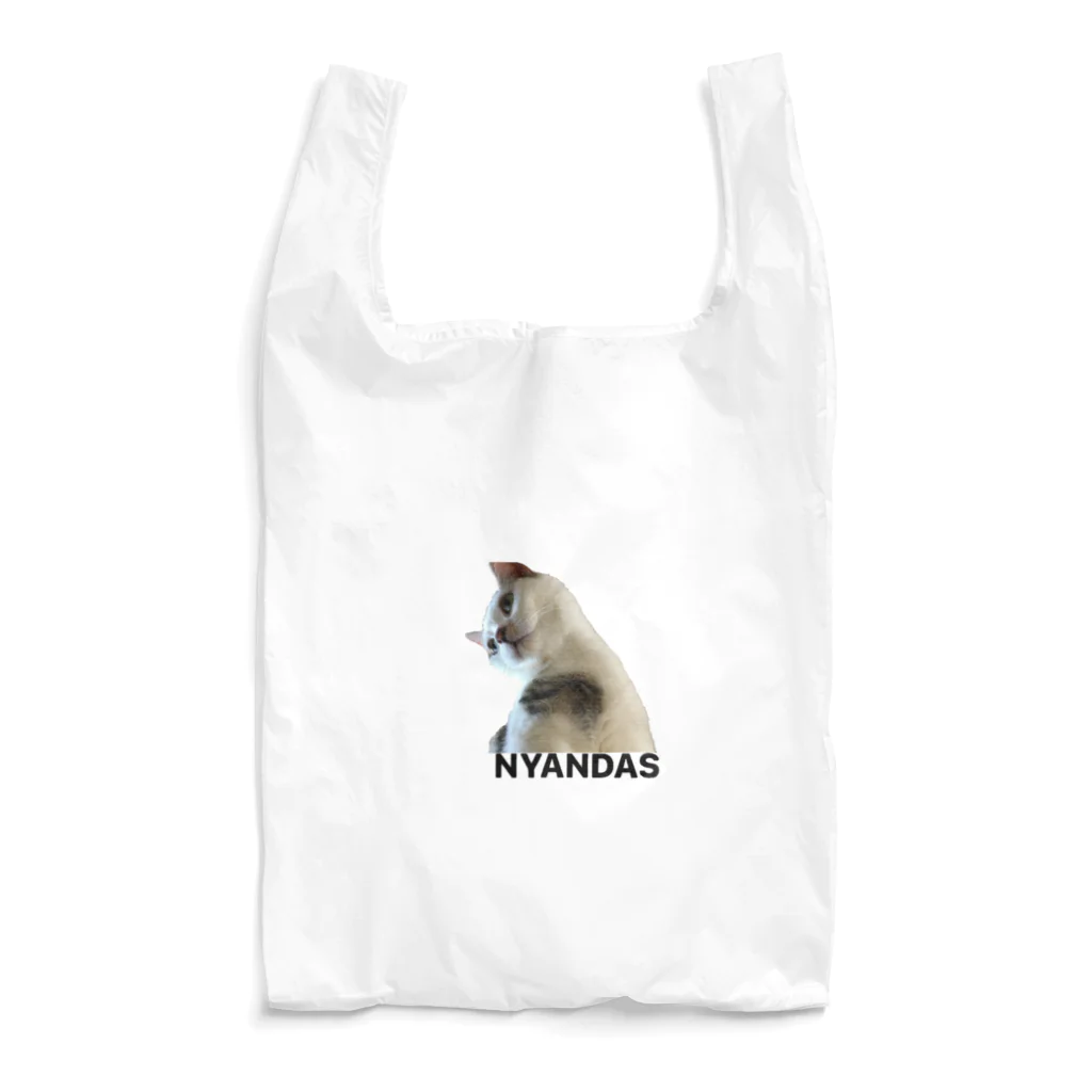 ポップならくがきのNYANDAS  Reusable Bag