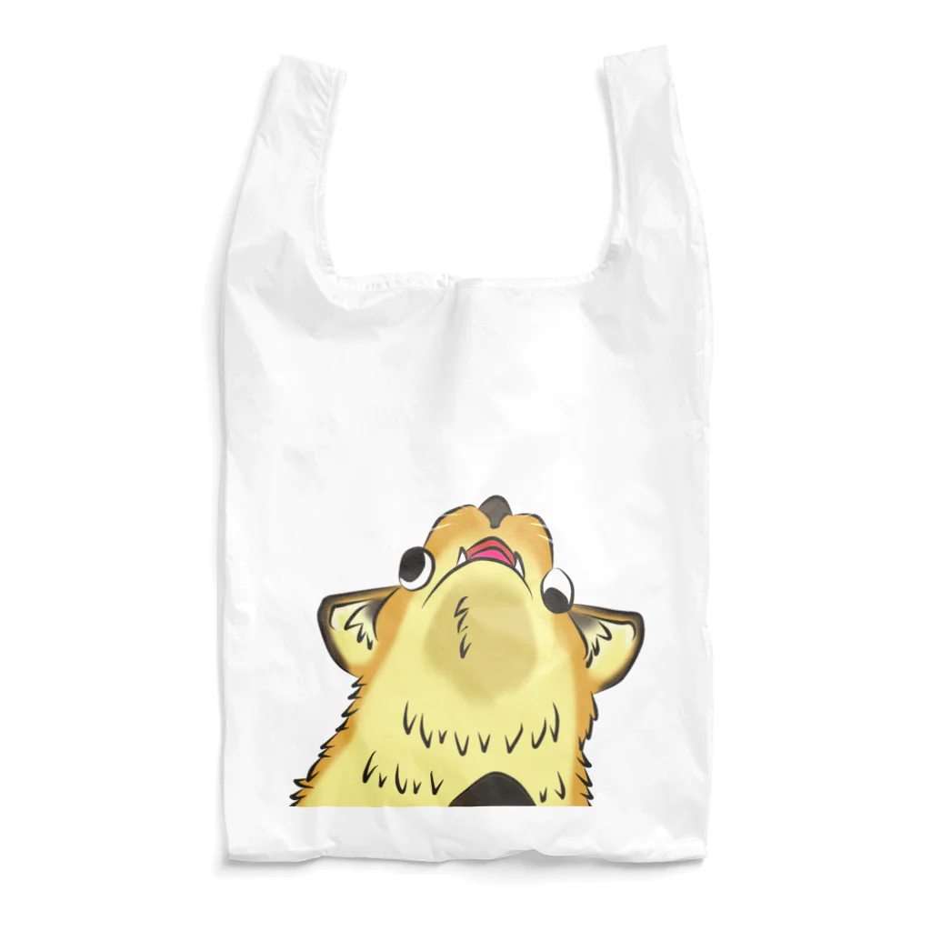 YUSHINのＲ FAMILY-11 Reusable Bag