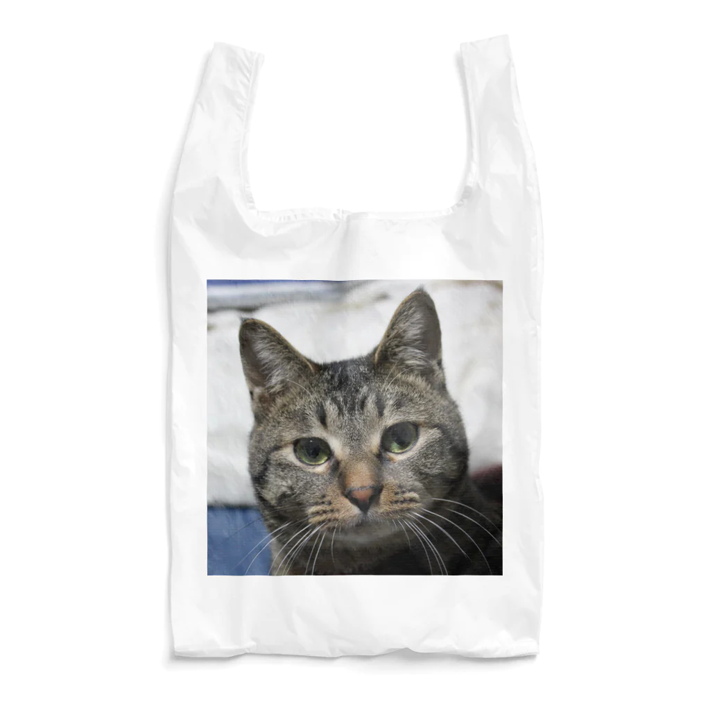 ねことらにゃんにゃん軍団のすまし顔 たぬきち Reusable Bag