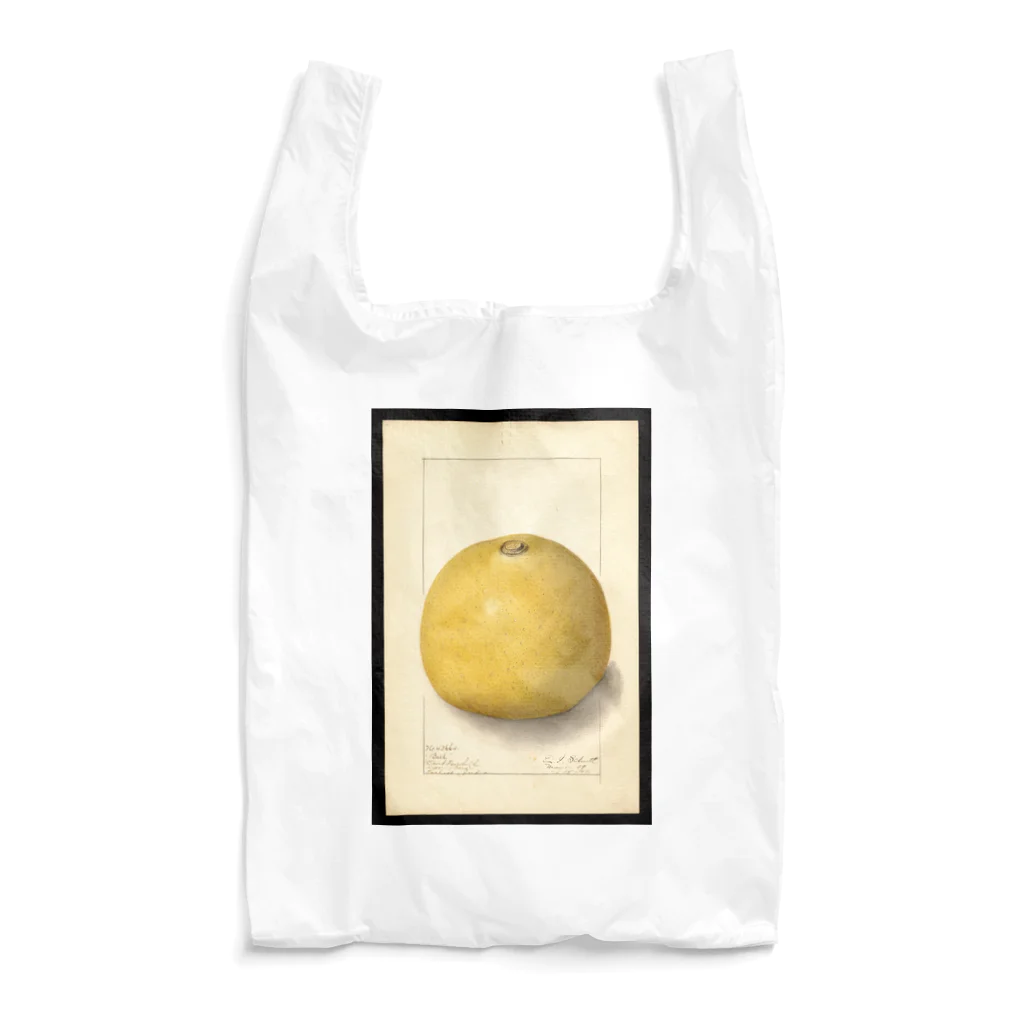 ArtShirtのAegle marmelos  Reusable Bag