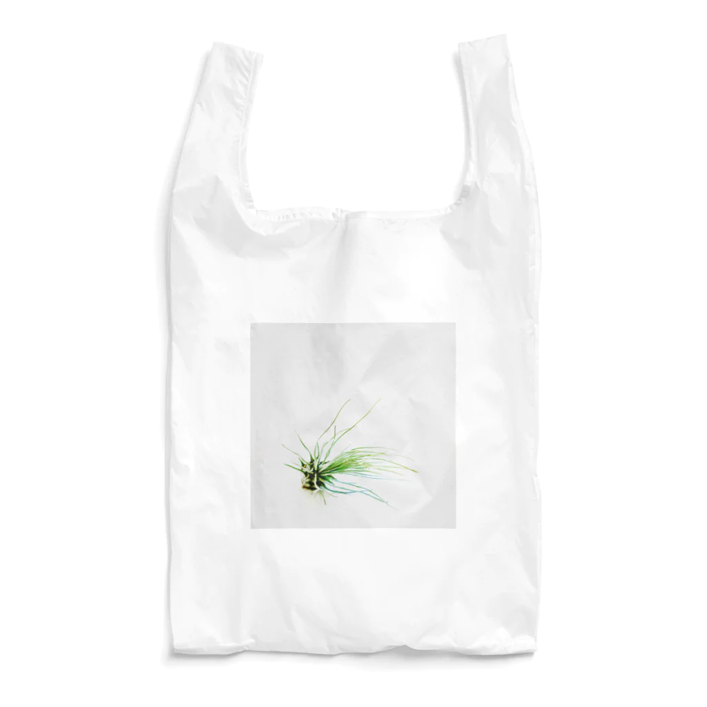 a.c.a.botanicalのTillandsia Reusable Bag