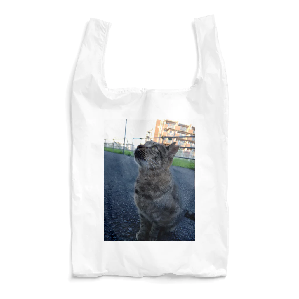 ながしっぽ from.さくらねこの家のとらちゃん　type.Ｂ Reusable Bag