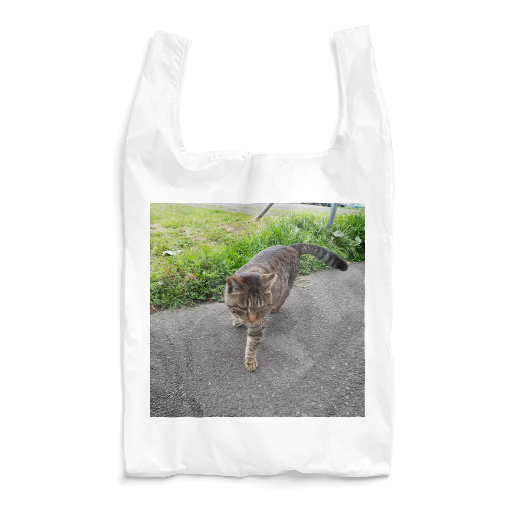 ながしっぽ from.さくらねこの家のとらちゃん　type.D Reusable Bag