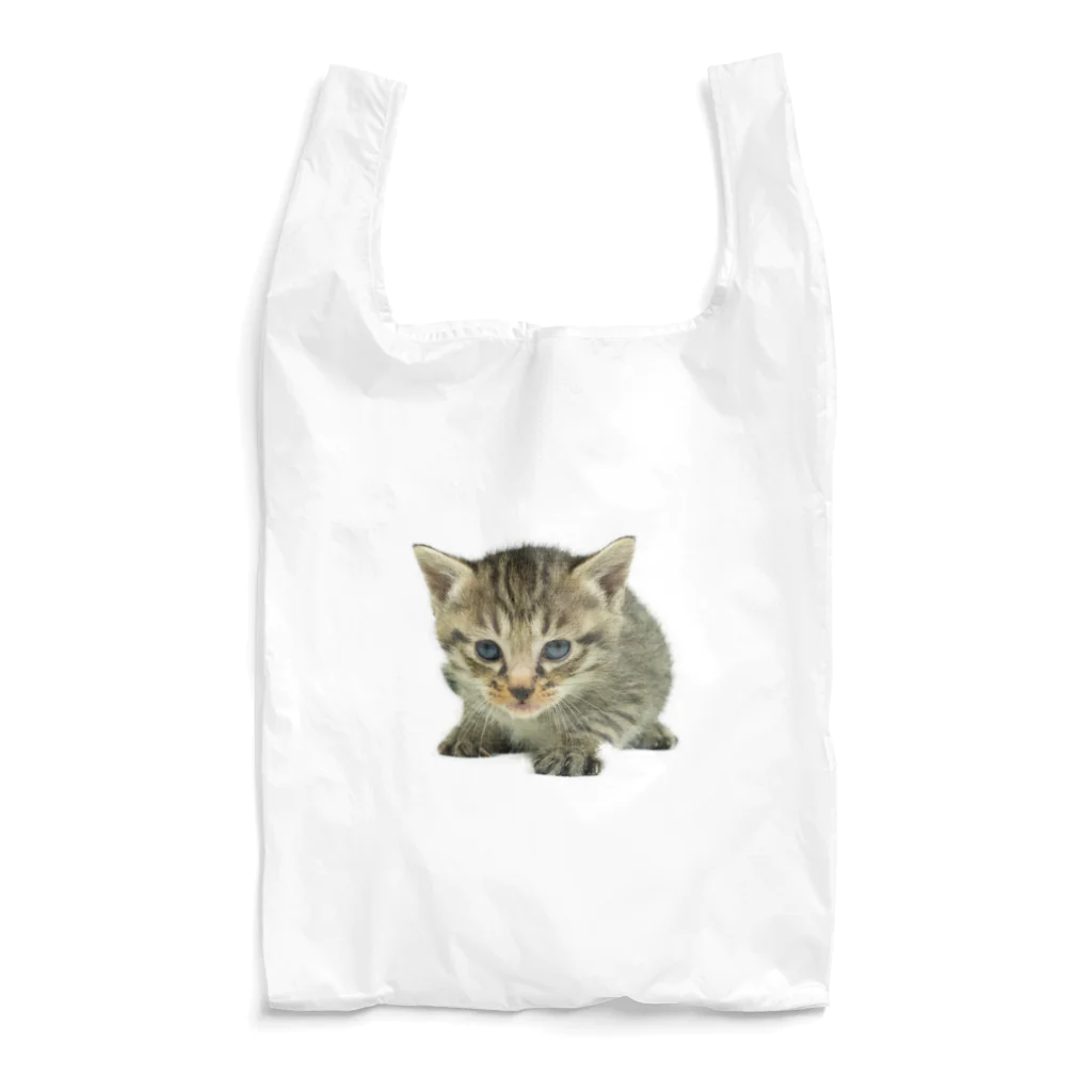 PinoのPino Reusable Bag